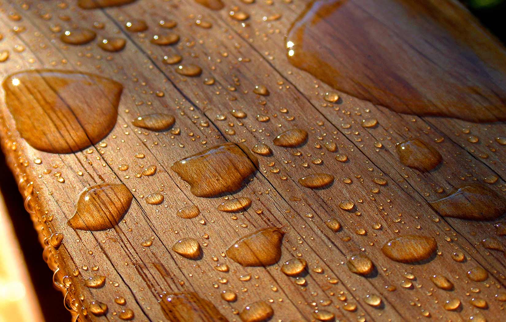 Holz im Garten gestrichen mit Wassertropfen